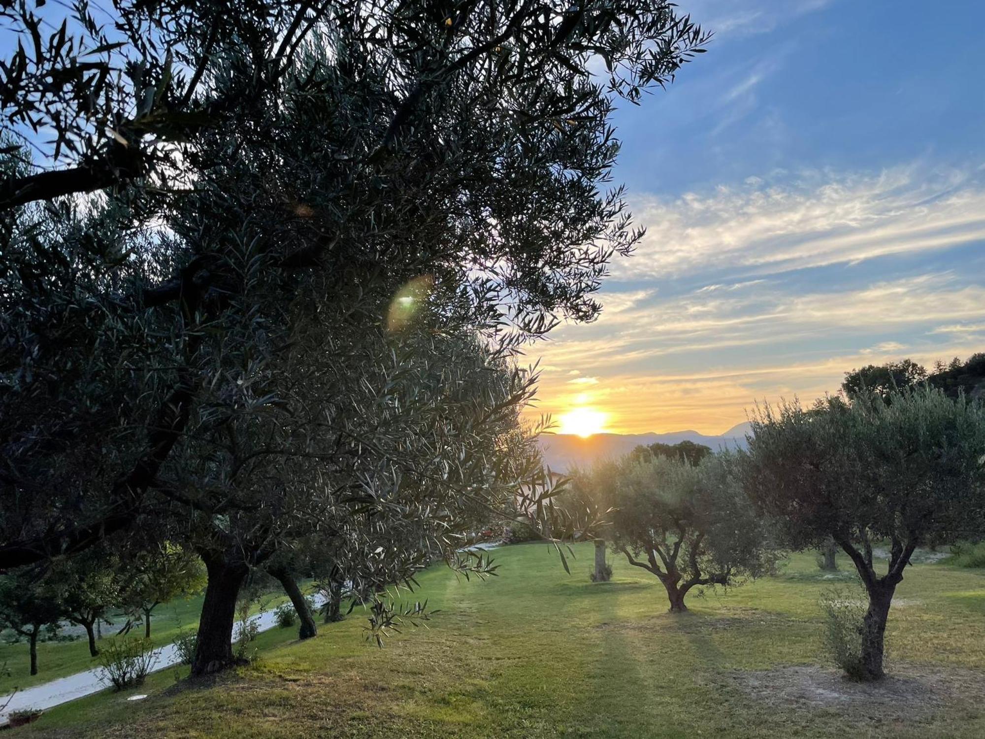 Agriturismo Villa Rosetta San Severino Marche Bagian luar foto