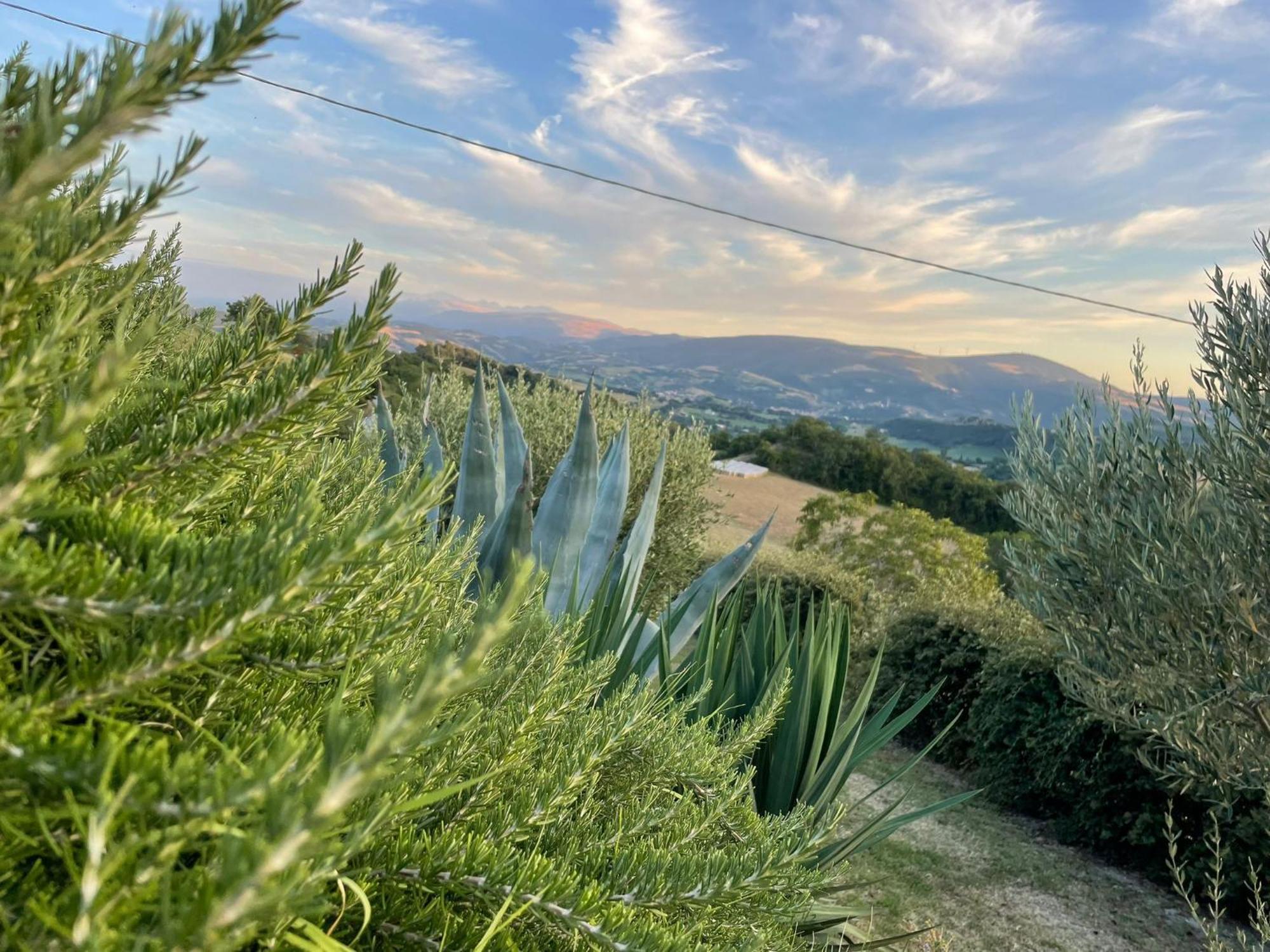 Agriturismo Villa Rosetta San Severino Marche Bagian luar foto