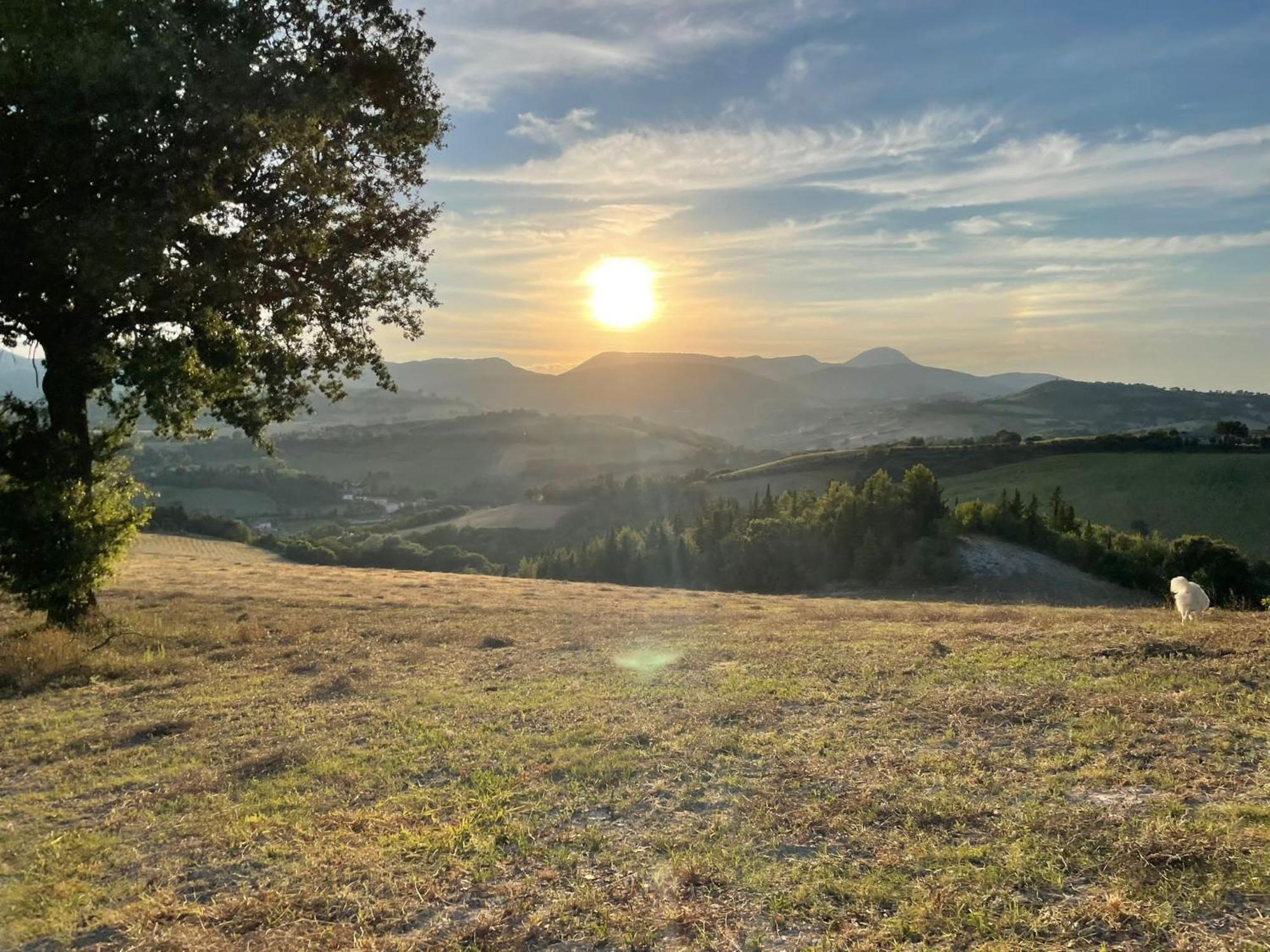 Agriturismo Villa Rosetta San Severino Marche Bagian luar foto