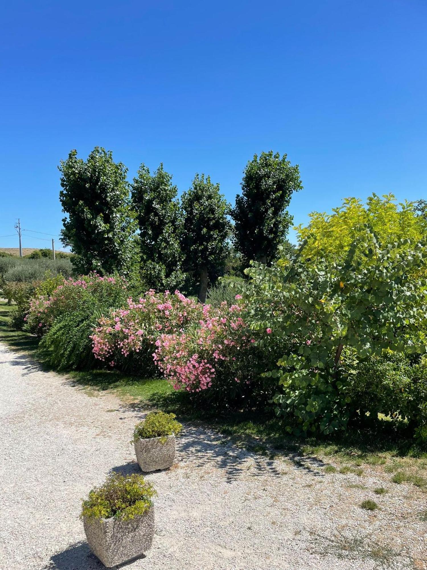 Agriturismo Villa Rosetta San Severino Marche Bagian luar foto