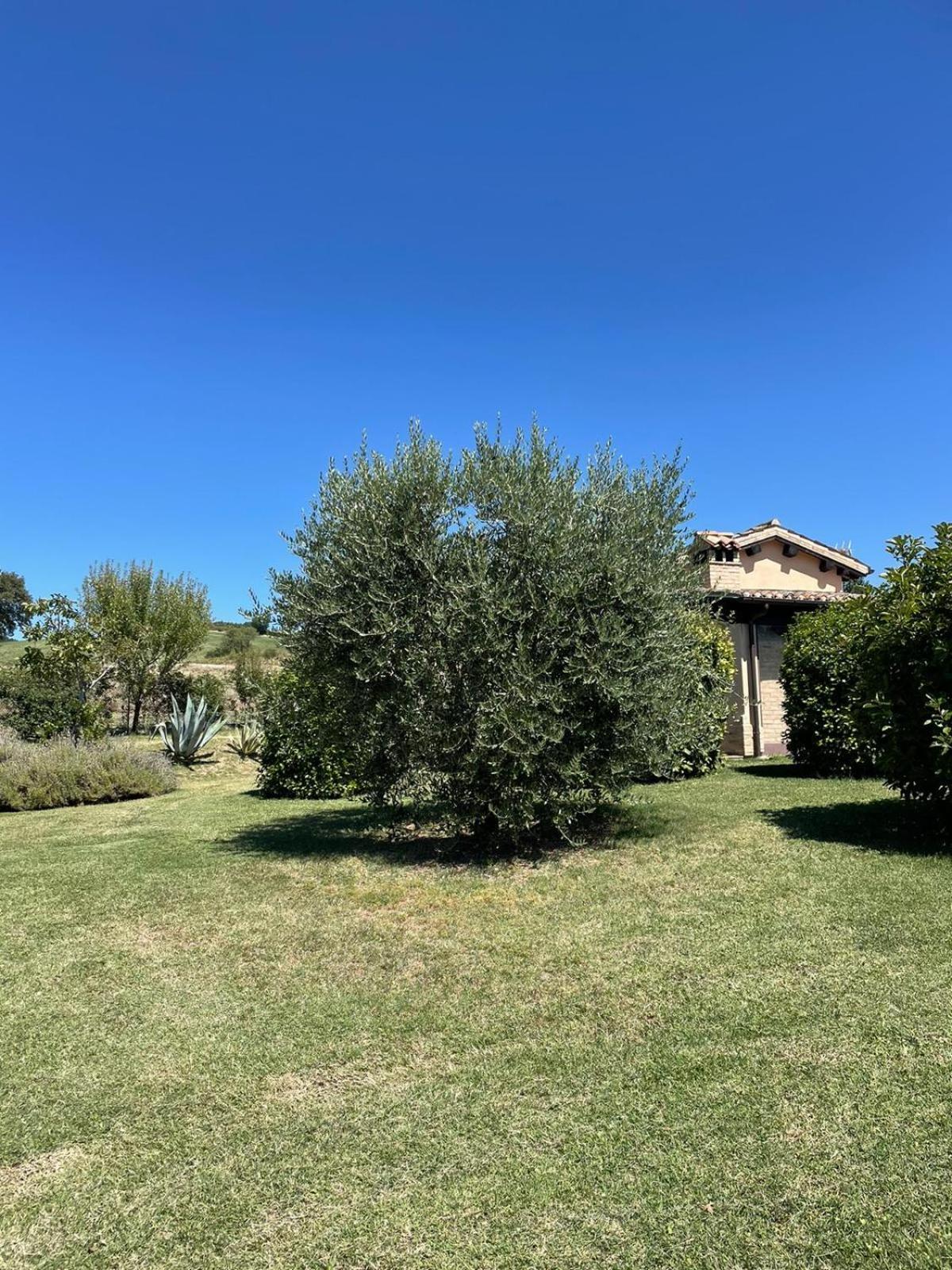 Agriturismo Villa Rosetta San Severino Marche Bagian luar foto