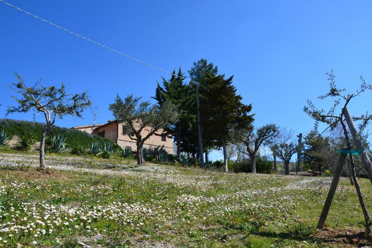 Agriturismo Villa Rosetta San Severino Marche Bagian luar foto