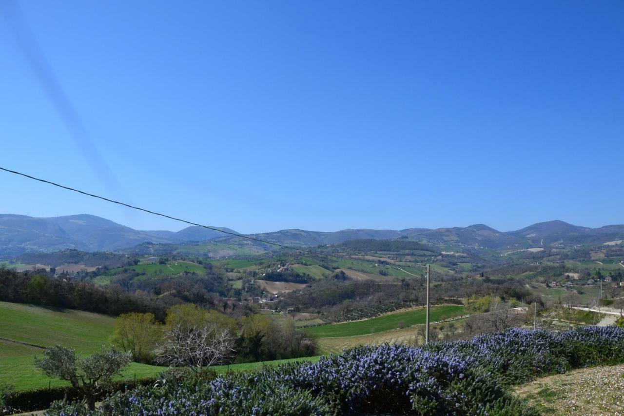 Agriturismo Villa Rosetta San Severino Marche Bagian luar foto