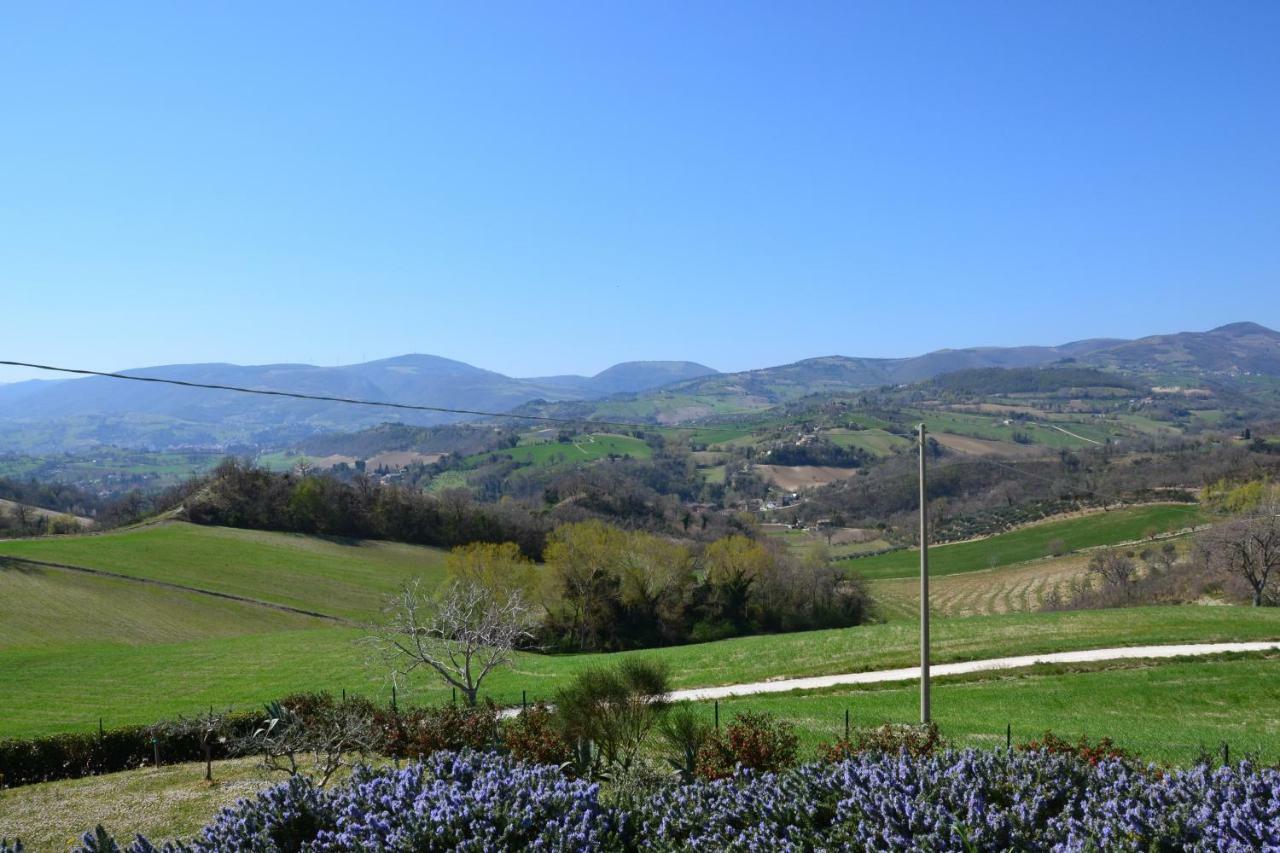 Agriturismo Villa Rosetta San Severino Marche Bagian luar foto